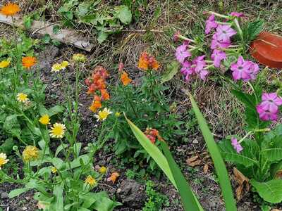 IMG-20250904-WA0013