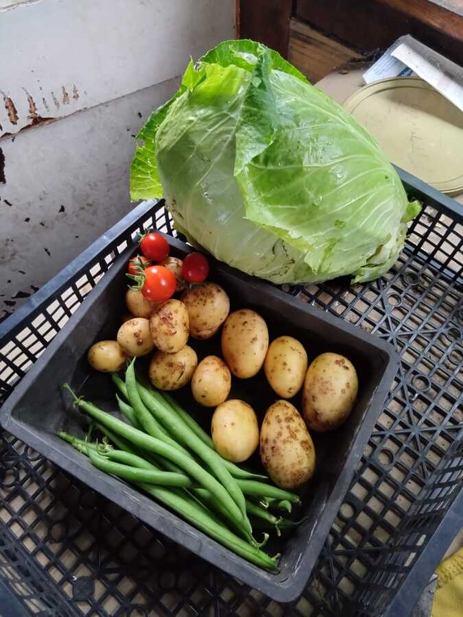 IMG-20250904-WA0024