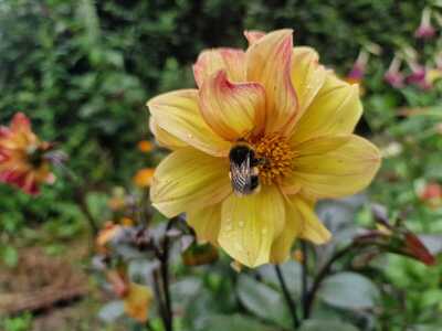IMG-20250904-WA0010