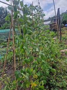 IMG-20250904-WA0012