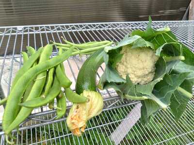 IMG-20250904-WA0020