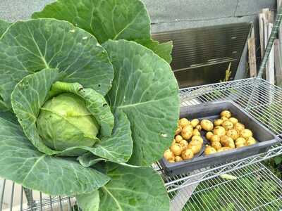 IMG-20250904-WA0022